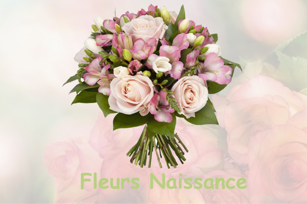 fleurs naissance MOUSSEAUX-SUR-SEINE